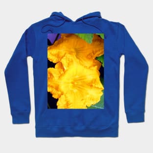 Pumpkin Blossom Hoodie